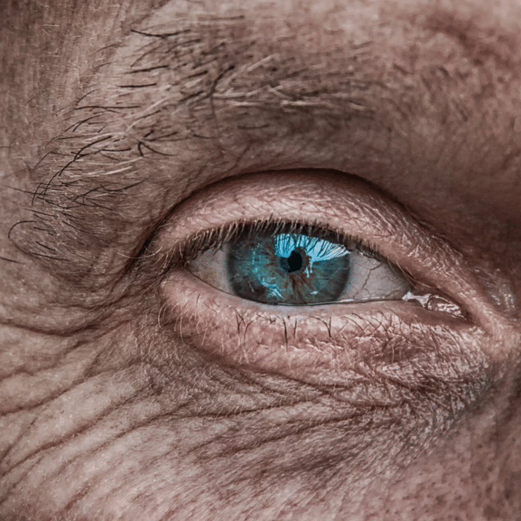 Closeup of an Eye